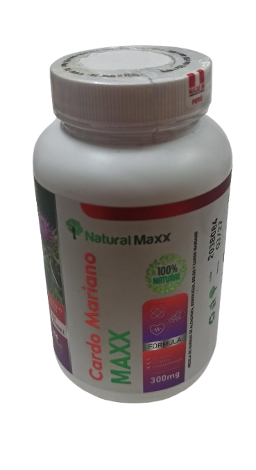 Cardo Mariano Cap. 100 und